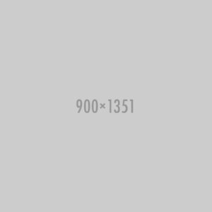 Placeholder image with dimensions text.