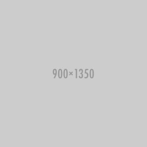 Placeholder image with dimensions 900x1350 pixels.