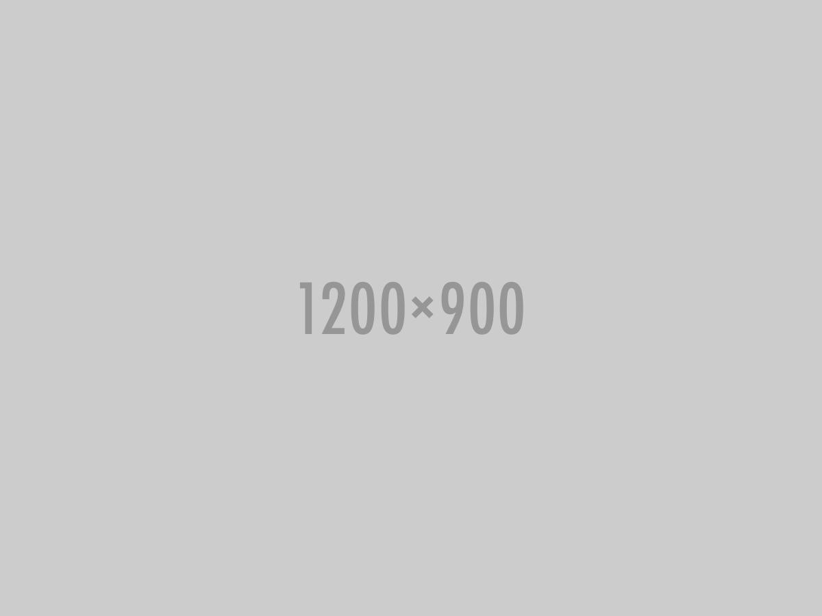 Placeholder image with dimensions text.